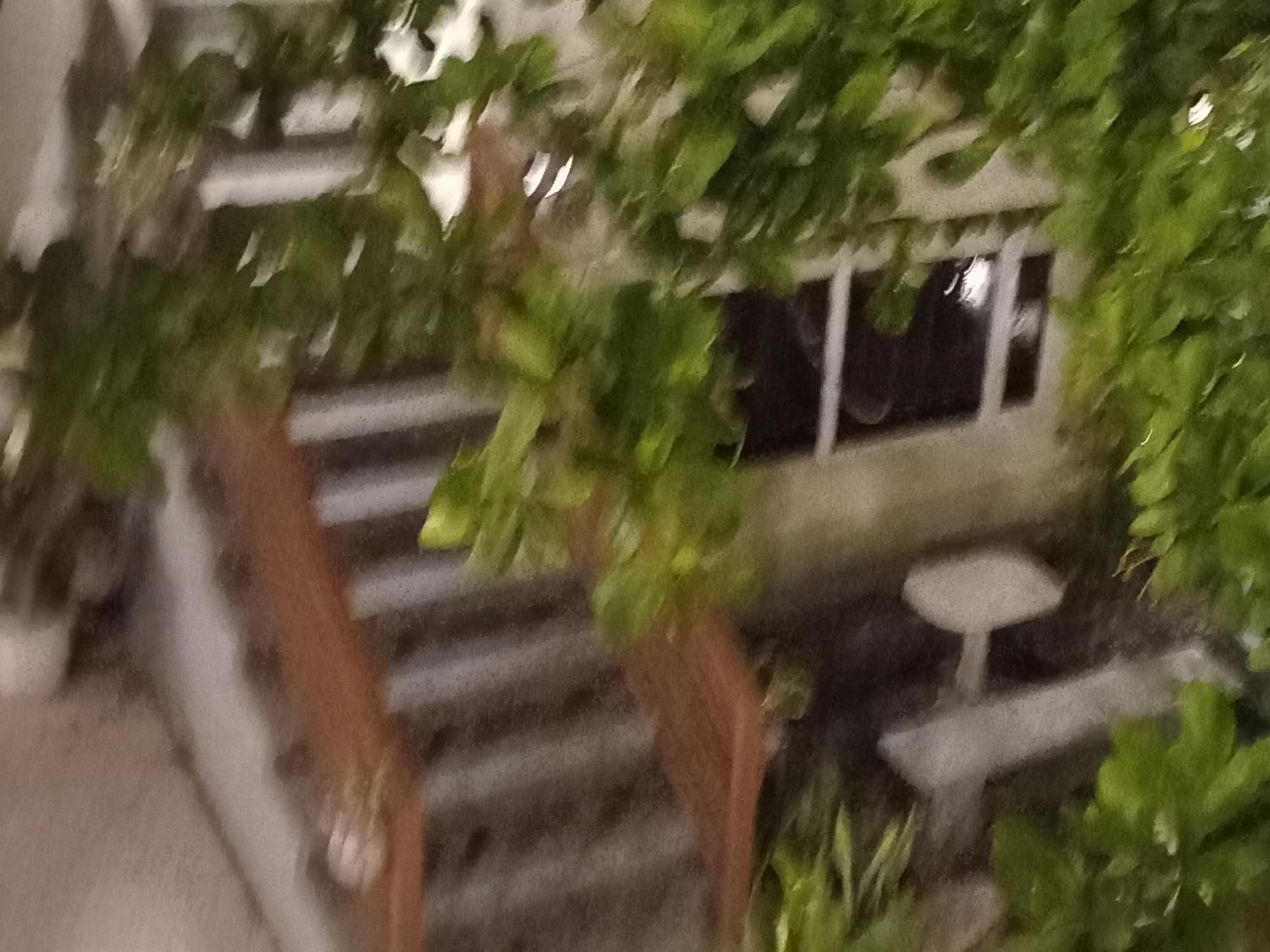 Beachfront Bed & Breakfast サンノゼ エクステリア 写真